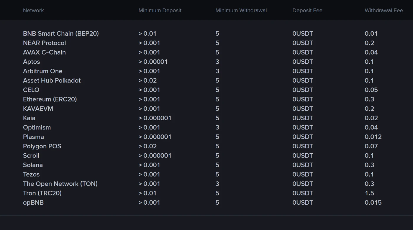 Binance ના fee પેજ પર USDT શોધતાં દેખાતું કોષ્ટક: 19 network, દરેક માટે લઘુતમ deposit, લઘુતમ withdrawal, deposit fee અને withdrawal fee