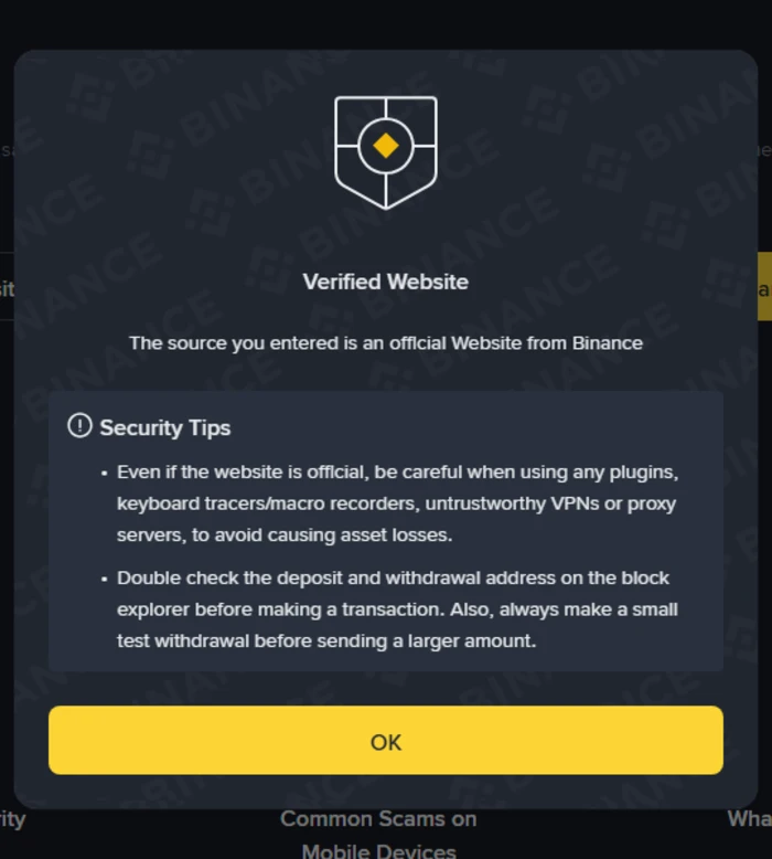 Binance Verify નું પરિણામ pop-up: ઢાલના ચિહ્ન નીચે Verified Website શીર્ષક અને Security Tips ની યાદી